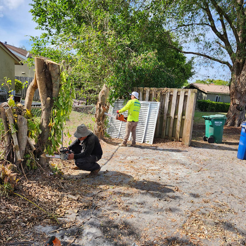 Image of professional landscaping services by Ian Landscaping